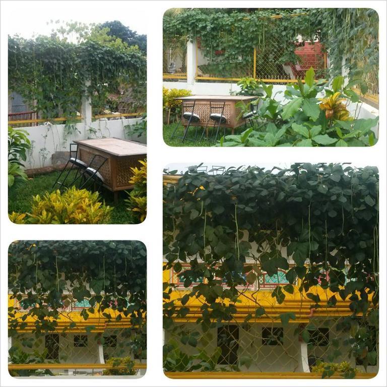 Bambooze Hauz Hotel Balabag  Luaran gambar